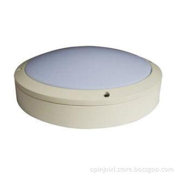 Warm White 3000K Outdoor LED Ceiling Light 30W IP65 LED Bul